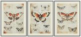 Jossletts Wall Art (Set of 3) - Orbit Furniture (Richmond,BC)