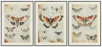 Jossletts Wall Art (Set of 3) - Orbit Furniture (Richmond,BC)