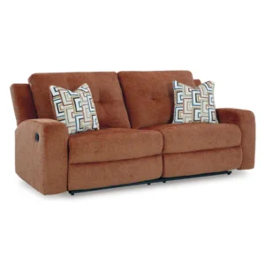 Signature Design by Ashley Danum 3880781C 2 Seat Reclining Sofa